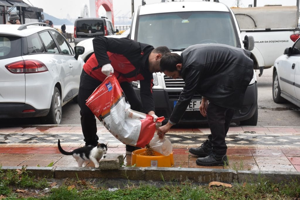 Sokaktaki canlar mamaya kolayca ulaşıyor