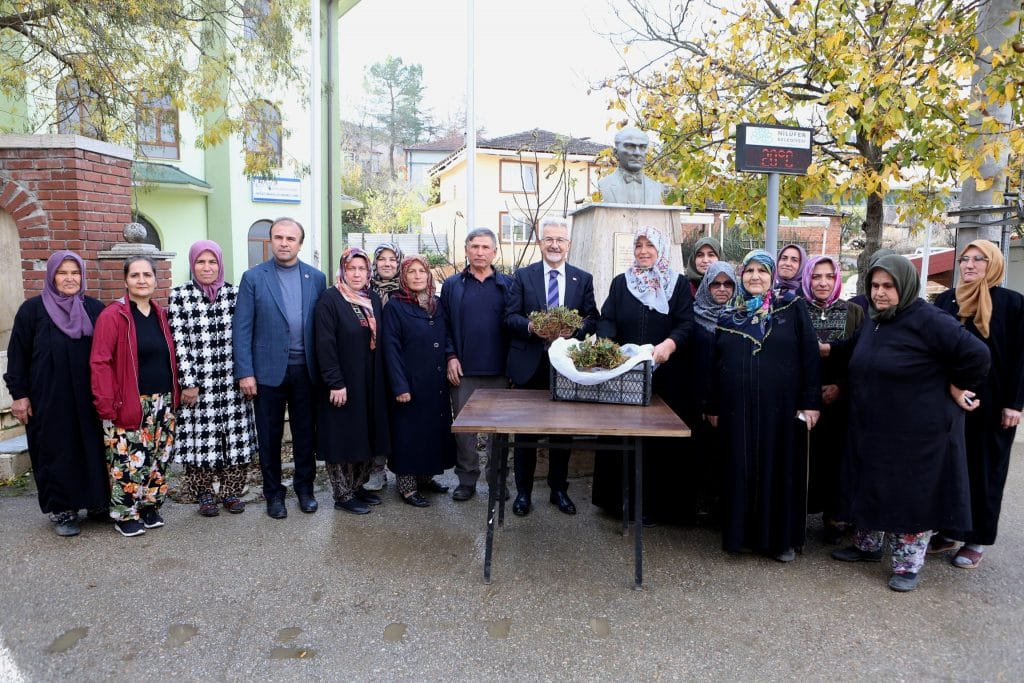 Nilüfer Belediyesinden kadın üreticilere 100 bin çilek fidesi