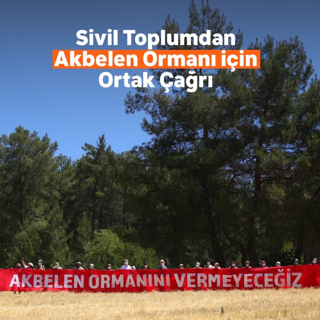 Akbelen Ormanı’nın korunması için  sivil toplum kuruluşlarından ortak çağrı!