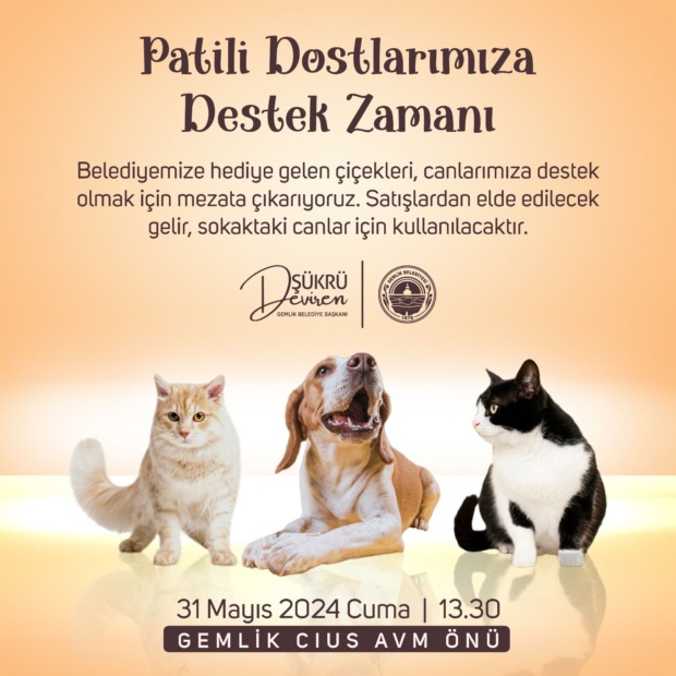 Gemlik Belediyesi; “Patili Canlarımıza Destek Zamanı”