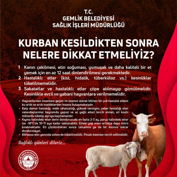 Gemlik Belediyesi’nden Kurban Bayramı Uyarıları