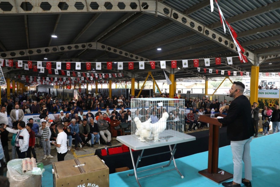 YERLİ TAVUK IRKLARI İLE KOÇLAR İNEGÖL’DE PODYUMA ÇIKACAK