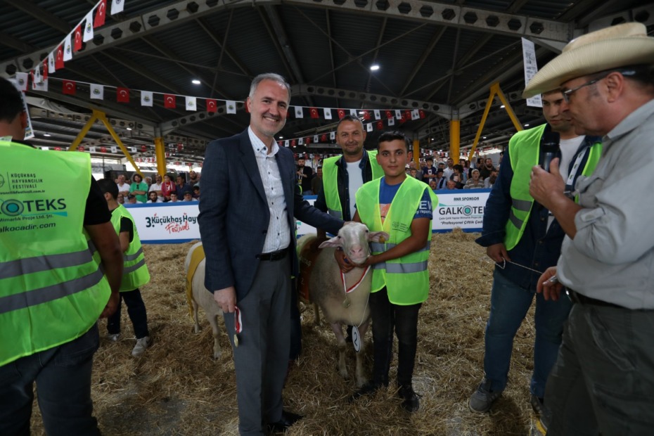KÜÇÜKBAŞ HAYVANCILIK FESTİVALİ İÇİN GERİ SAYIM BAŞLADI