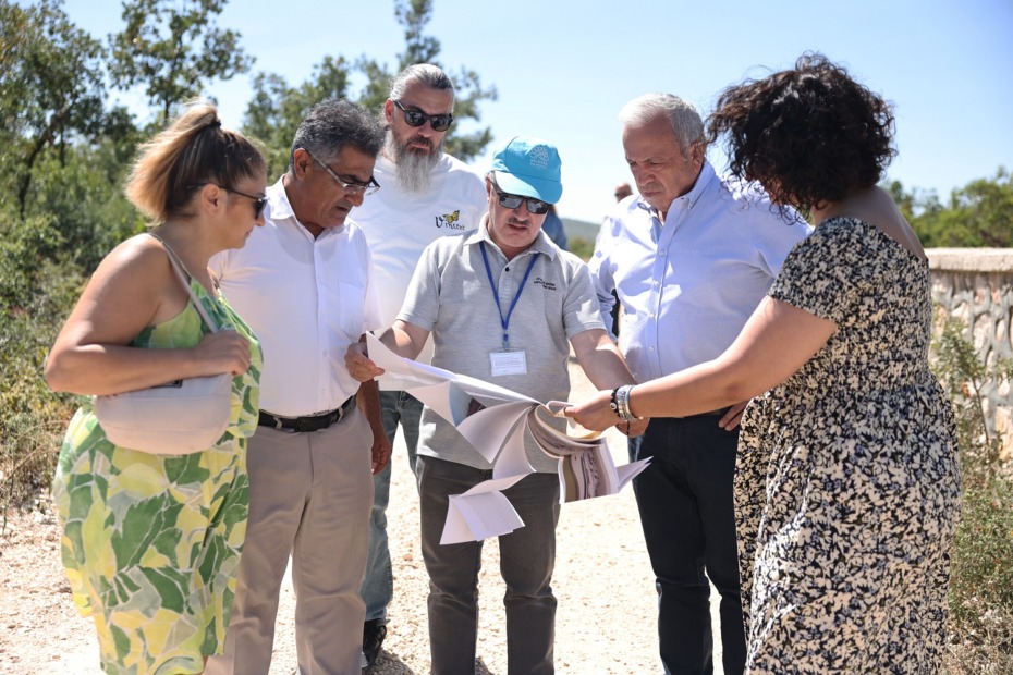 Başkan Şadi Özdemir sokak hayvanları için hazırlanan projeyi inceledi