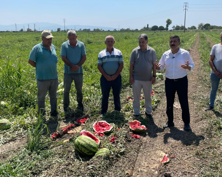 VEKİL SELÇUK TÜRKOĞLU; “KARPUZ DEĞİL, DERT TARLASI!”