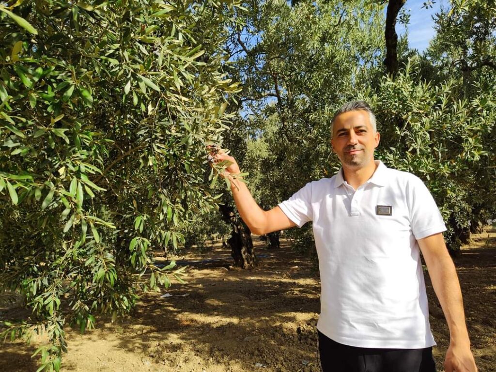 GEMLİK ZEYTİNİ TARIM KOOPERATİFİ KURMALIYIZ