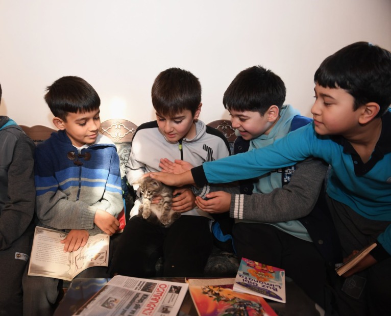 Öğrenciler bu kütüphanede hem kitap okuyor hem de kedileri seviyor