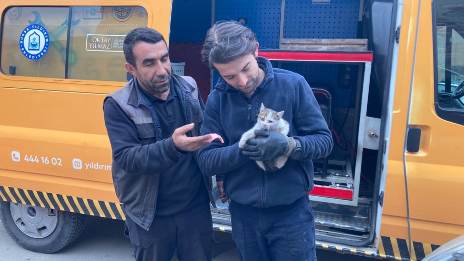 KAPUTA SIKIŞAN YAVRU KEDİ KURTARILDI