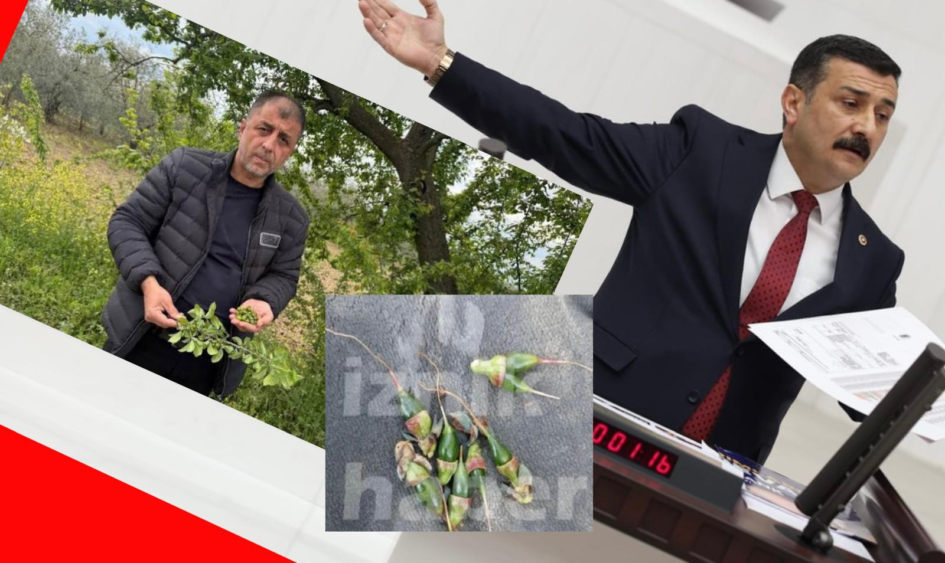 TÜRKOĞLU, ÜRETİCİYİ PERİŞAN EDEN DON AFETİNİ TBMM GÜNDEMİNE TAŞIDI