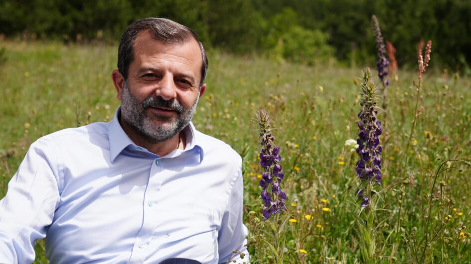 GÜRSU’NUN GÖK SIĞIRKUYRUĞU  ÇİÇEKLERİNİ AÇTI