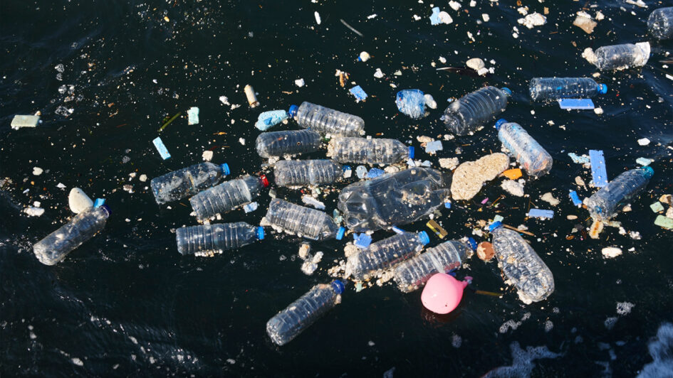 Doğayla Uyumlu Yaşamalıyız: Plastik Kirliliğine Son Ver, Yaşamı Koru!