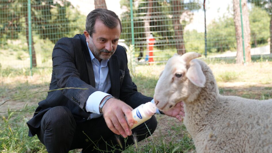 GÜRSU’YA  BUTİK HAYVANAT BAHÇESİ