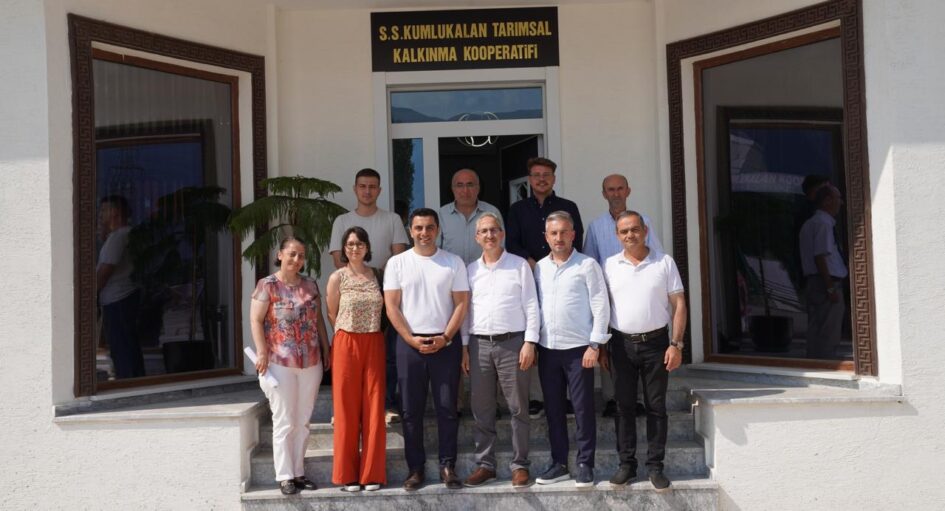 GÜRSU’DA YEŞİL DÖNÜŞÜM BAŞLADI
