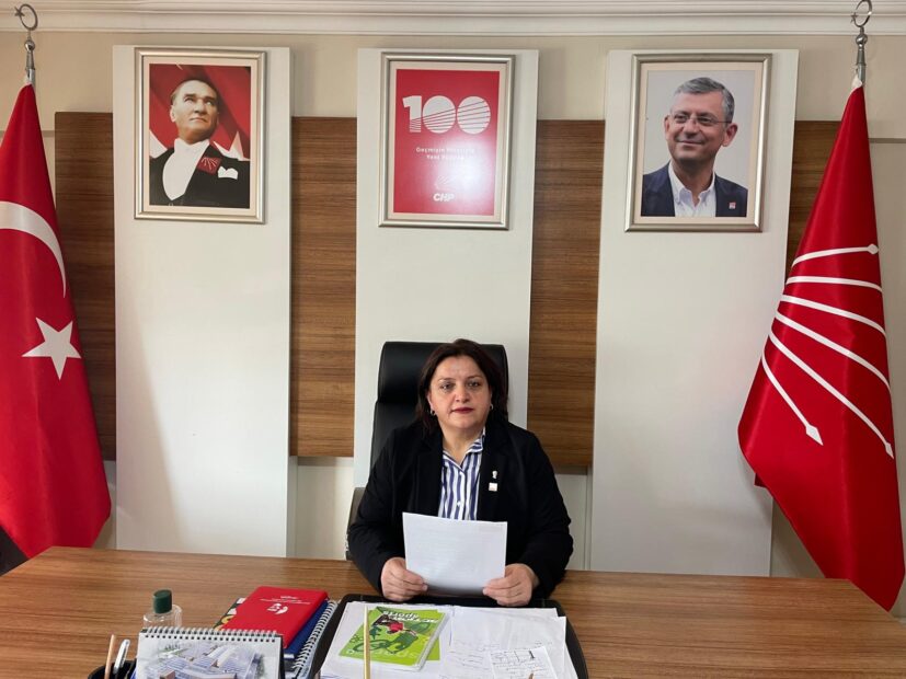 CHP Gemlik kadın Kolları; “Hayatı Savunmak İçin Başkaldırıyoruz!”