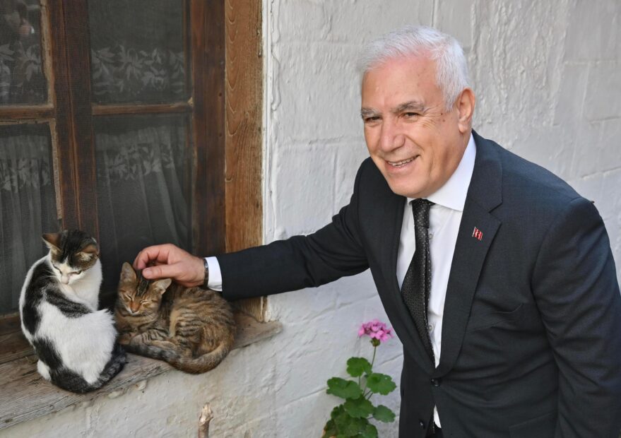 BÜYÜKŞEHİR’DEN CAN DOSTLARA ŞEFKAT ELİ