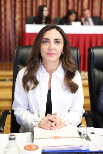KAYIŞOĞLU; “İNSAN HAKLARI İHLALLERİ ARTIYOR, DENETİM MEKANİZMALARI YOK”