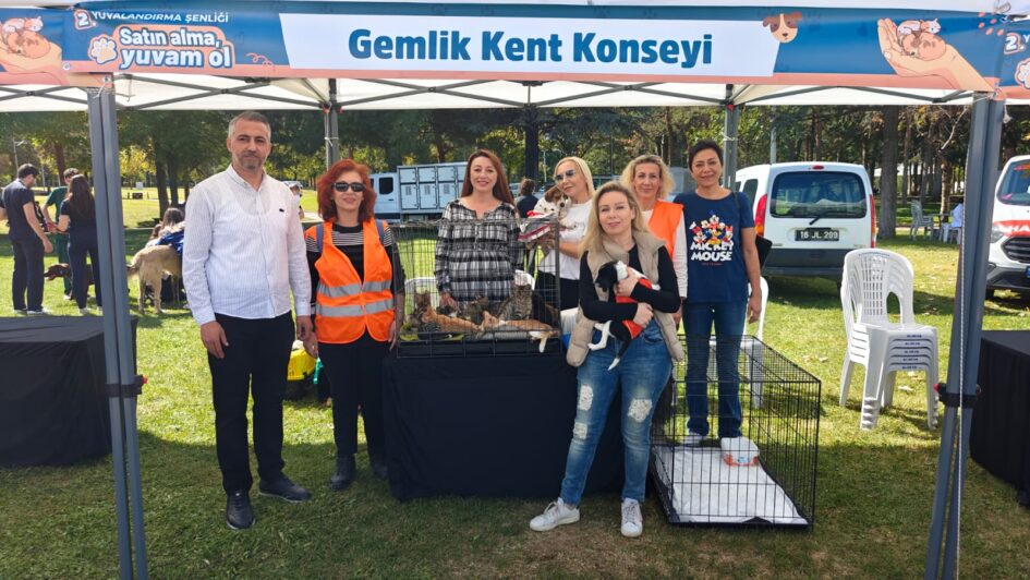 Gemlik Kent Konseyi Sokaktaki Canlar İçin Farkındalık Çalışması Yaptı