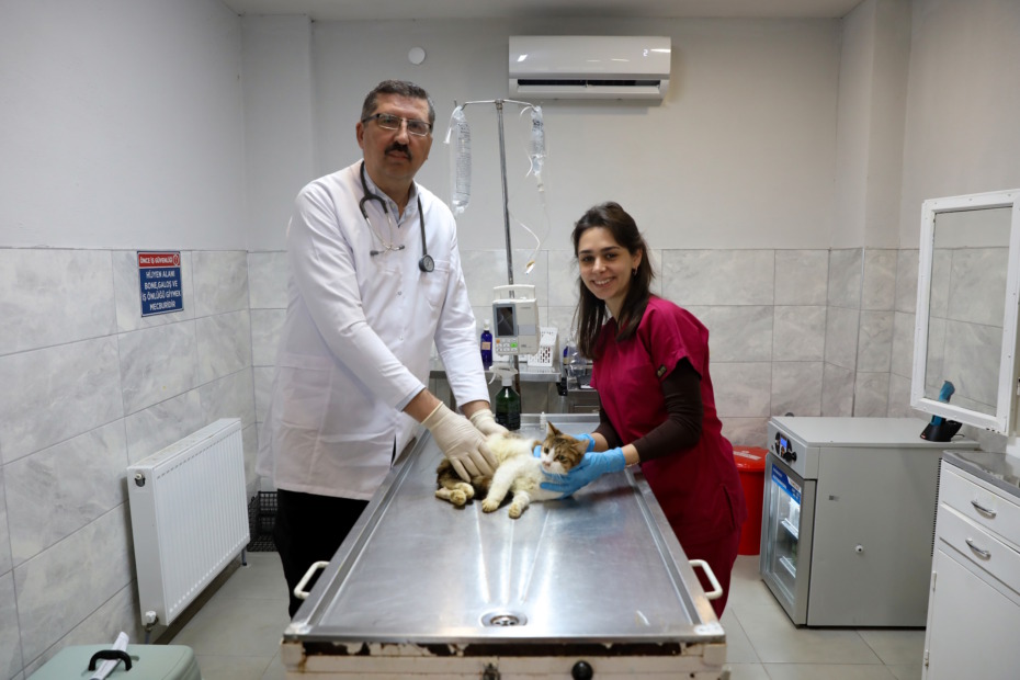 YARALI KEDİYE BÜYÜKŞEHİR ŞEFKATİ