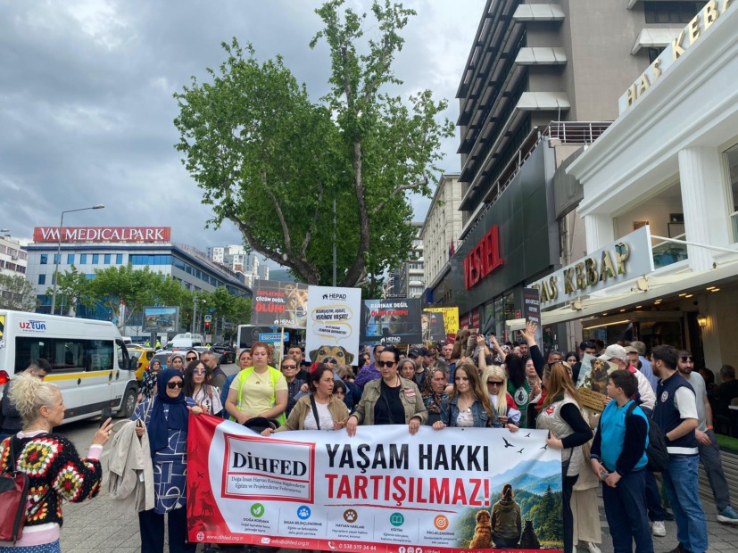 Bursa’da “Yaşam Hakkı Tartışılmaz” Yürüyüşü