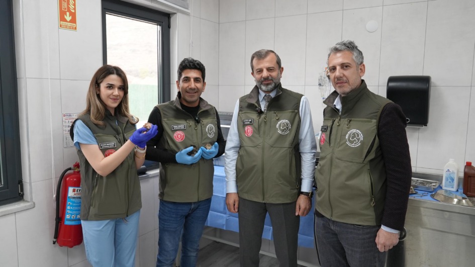 GÜRSU’NUN SÜT ANNE KEDİSİ SOSYAL MEDYAYI SALLADI