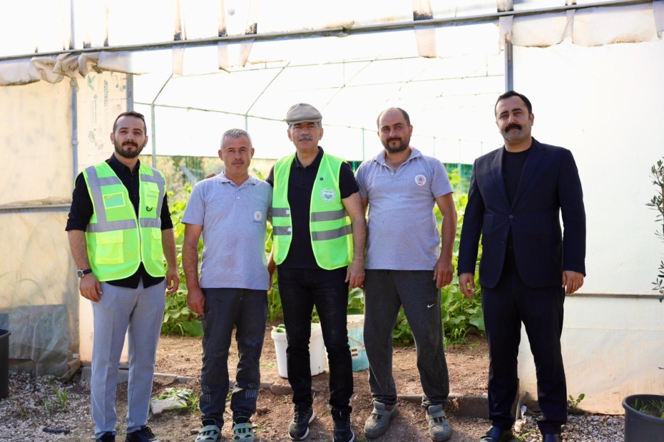Gemlik’te İlk Sera Hasadı Gerçekleşti