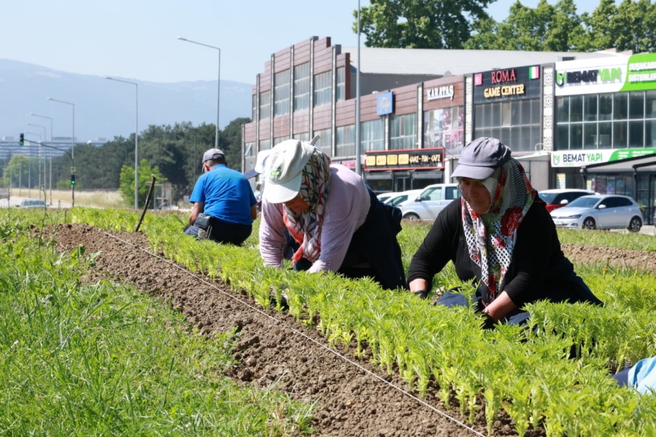 Osmangazi’nin Her Yeri Çiçeklerle Donatılıyor