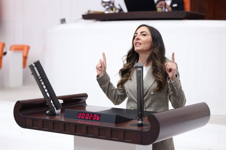 NURHAYAT ALTACA KAYIŞOĞLU; “MONARŞİYE GEÇİT YOK:  “EGEMENLİK KAYITSIZ ŞARTSIZ MİLLETİNDİR”