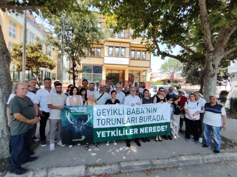 Sadece Kızıl Geyiği Değil, Bursa’nın Yaşam Hakkını Savunuyoruz