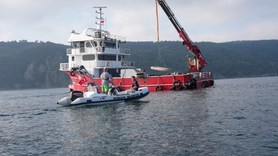 MUDANYA’DA MİDYE ÇİFTLİĞİ KURULUYOR